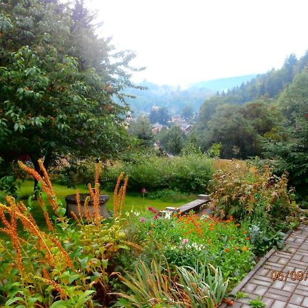 Apartman Aya 야노프 나트 니소우 외부 사진